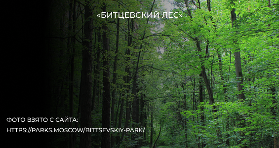 фото новости City Trail 3 Bitsa