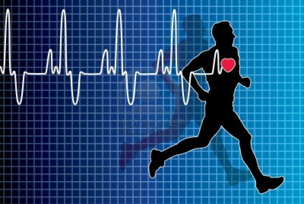 heartbeat1.jpg heartbeat1.jpg